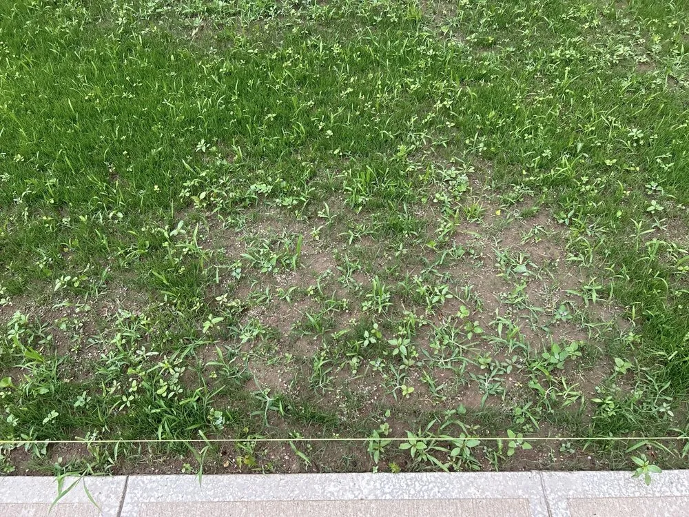 Trusted landscaping services with custom design in Indianapolis, IN by Scenic Green