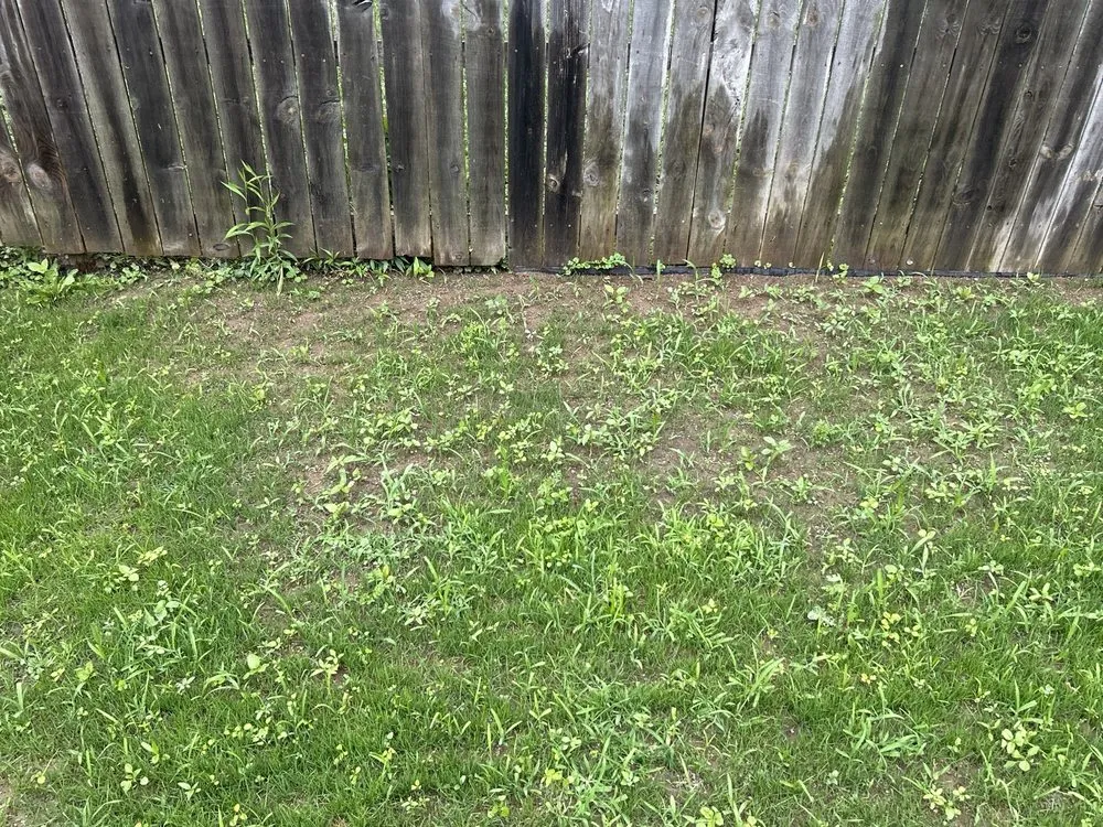 Top-rated garden landscaping experts serving Indianapolis, IN - Scenic Green