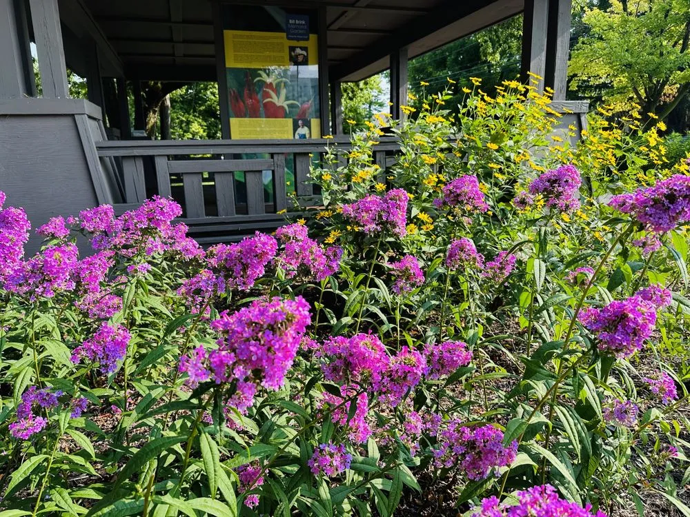 Professional yard cleanup service for outdoor upgrades across Indianapolis, IN - Scenic Green