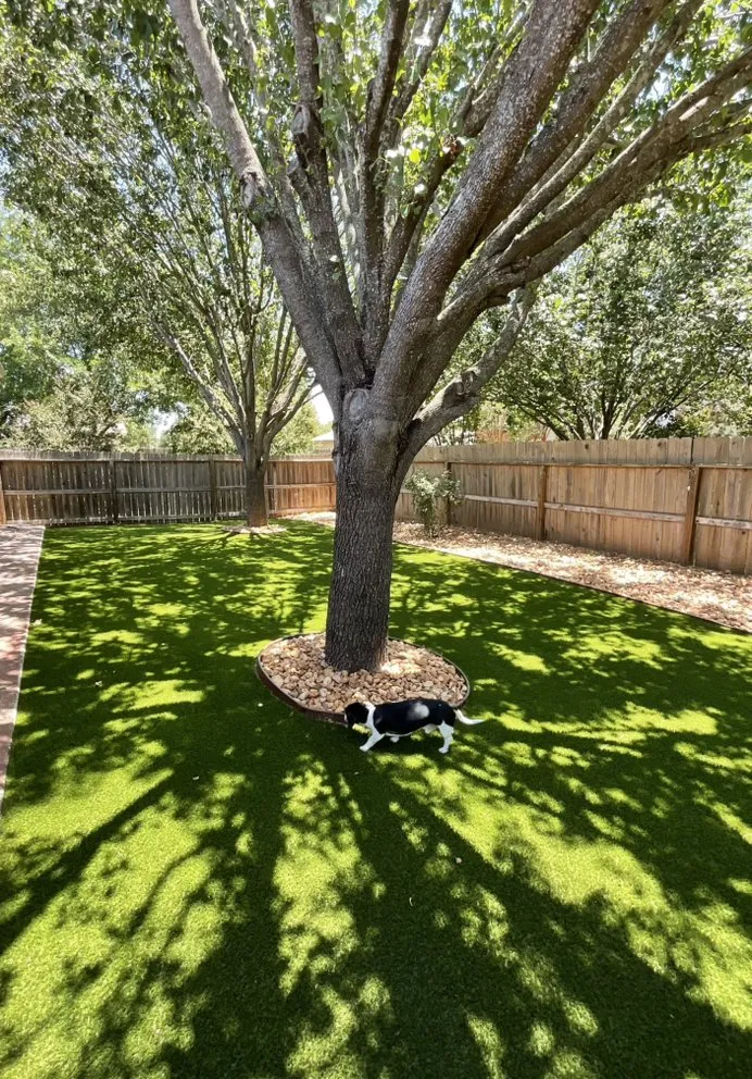 Professional residential landscaping in Boerne, TX by Scenic Green Landscaping