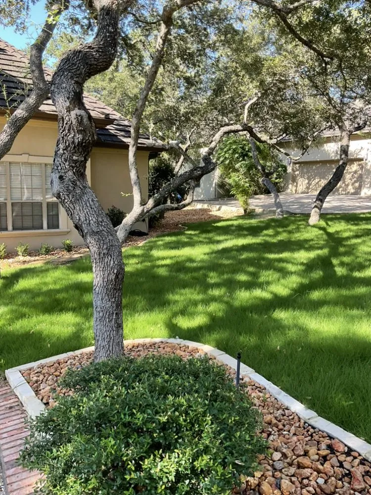 Trusted landscaping services for year-round maintenance in Boerne, TX by Scenic Green Landscaping