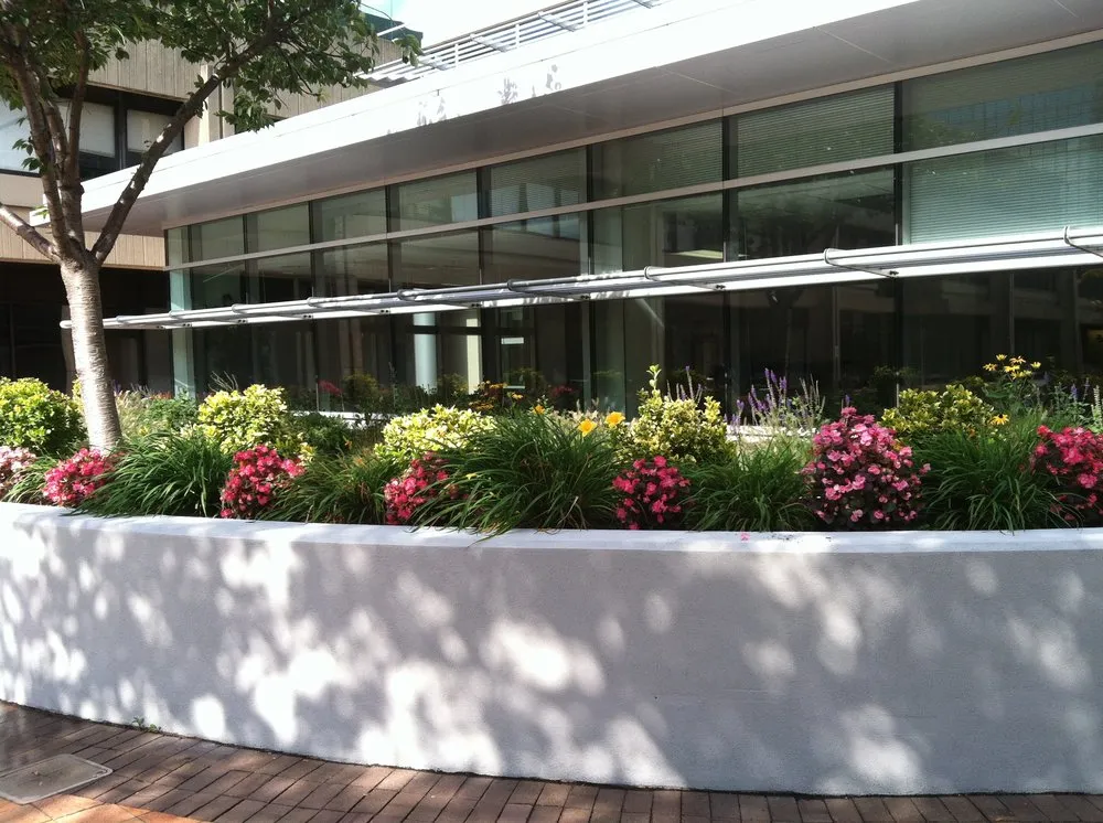 Reliable landscaping services for year-round maintenance across Edison, NJ - Scenic Land Design