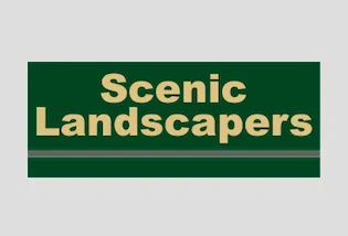 Trusted yard cleanup service in Casa Grande, AZ - Scenic Landscapers