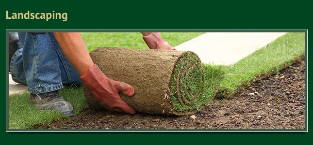 Expert landscaping services in Casa Grande, AZ by Scenic Landscapers