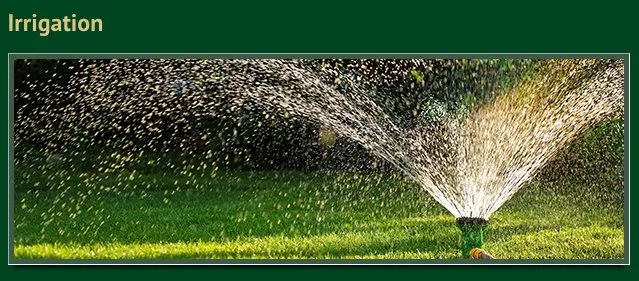 Professional garden landscaping experts serving Casa Grande, AZ - Scenic Landscapers