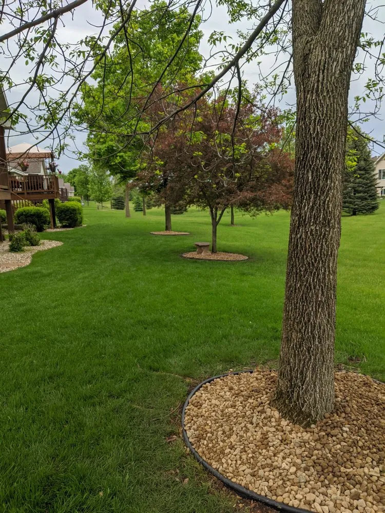 Expert yard maintenance in Austin, MN - Scenic Landscapes