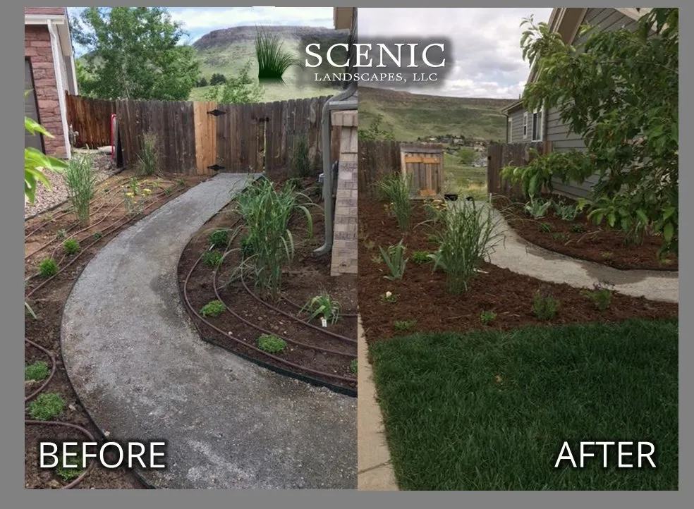 Trusted yard maintenance in Westminster, CO by Scenic Landscapes, LLC