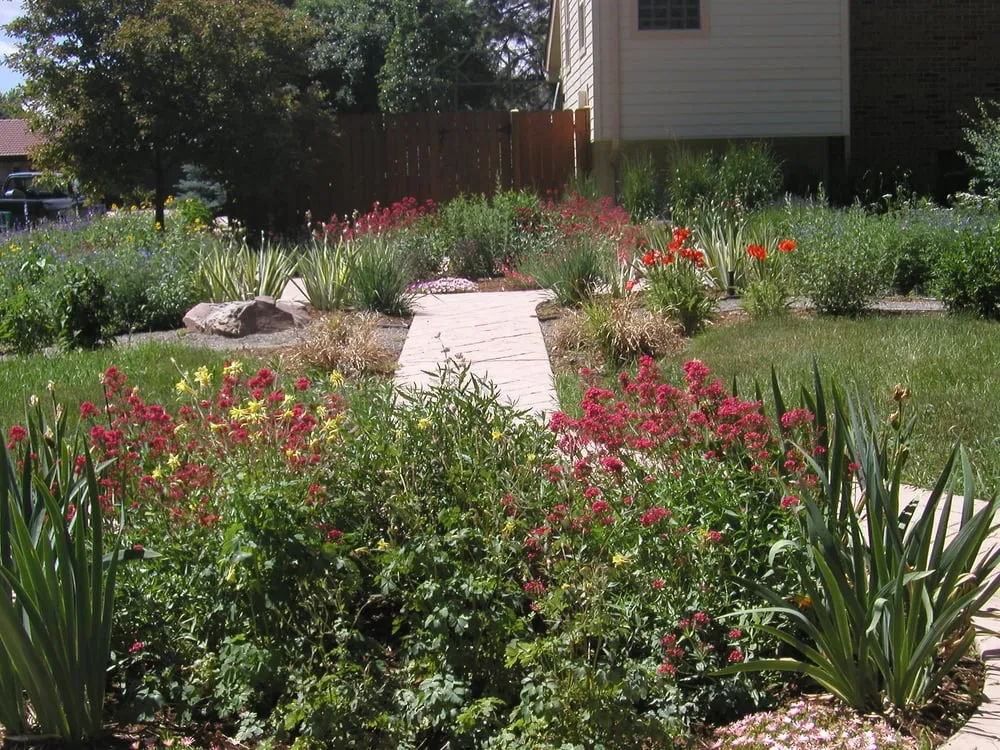 Custom yard cleanup service experts serving Westminster, CO - Scenic Landscapes, LLC