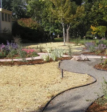 Trusted residential landscaping for year-round maintenance in Westminster, CO by Scenic Landscapes, LLC
