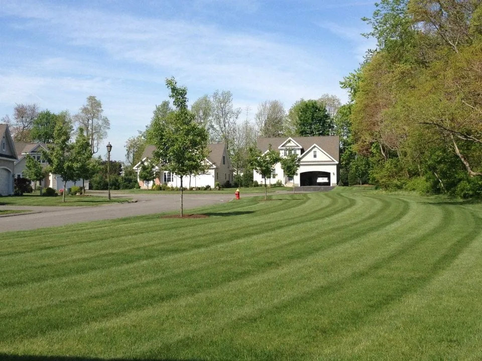 Local residential landscaping for beautiful yards in Rocky Hill, CT by Scenic Landscaping & Property Maintenance