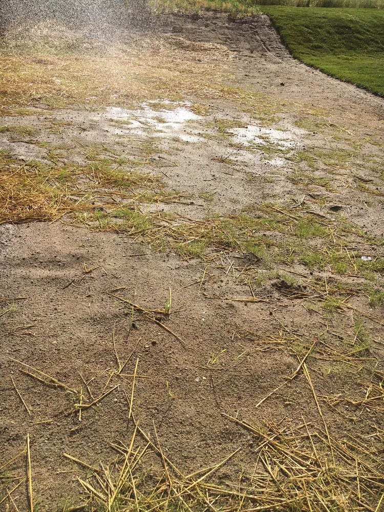 Top-rated lawn care service in Whitmore Lake, MI by Scenic Landscaping