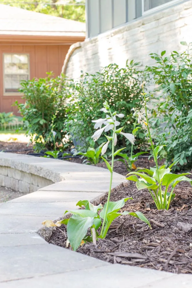 Expert yard cleanup service experts serving Grandview, MO - Scenic Lawns & Hardscapes