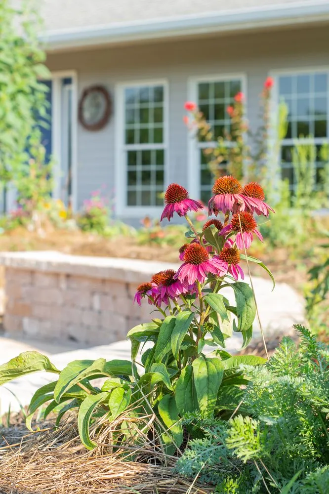 Reliable landscaping services experts serving Grandview, MO - Scenic Lawns & Hardscapes