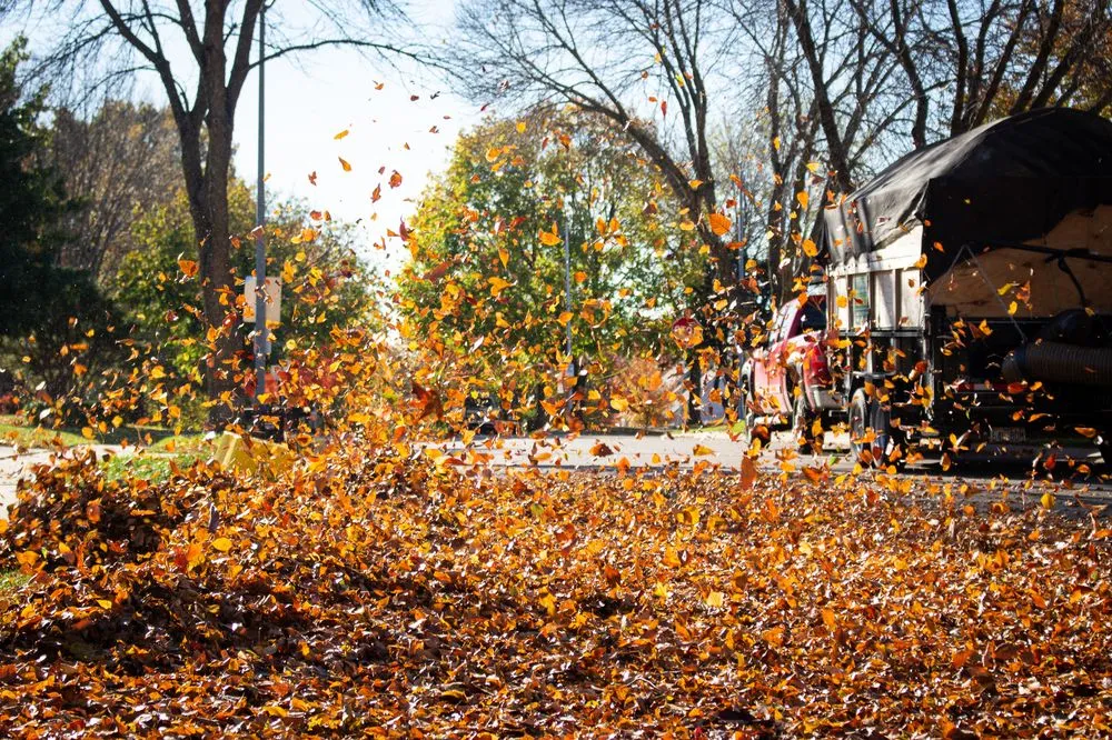 Top-rated lawn mowing service experts serving Grandview, MO - Scenic Lawns & Hardscapes