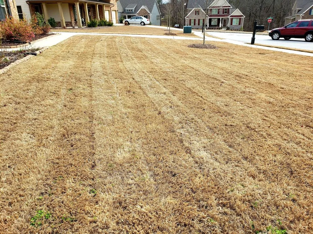 Trusted yard cleanup service for homes across Dacula, GA - Scenic Lawns & Outdoor Services