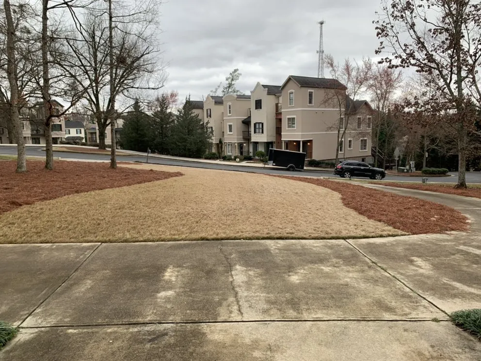 Custom landscaping services experts serving Dacula, GA - Scenic Lawns & Outdoor Services