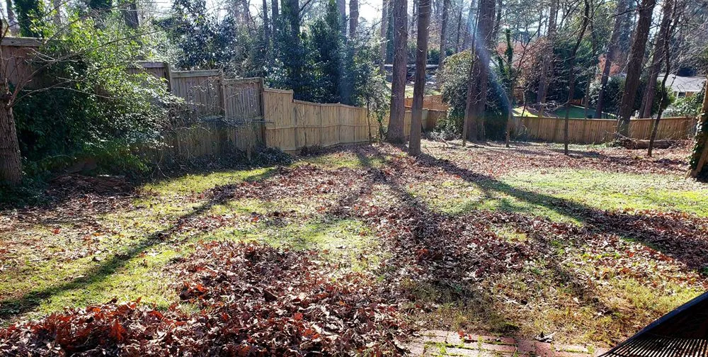 Professional yard cleanup service with custom design in Dacula, GA by Scenic Lawns & Outdoor Services