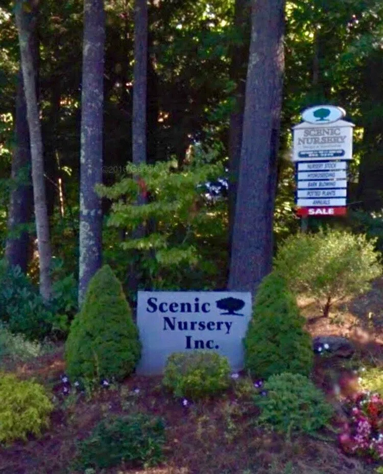 Expert yard maintenance experts serving Raymond, NH - Scenic Nursery & Landscaping