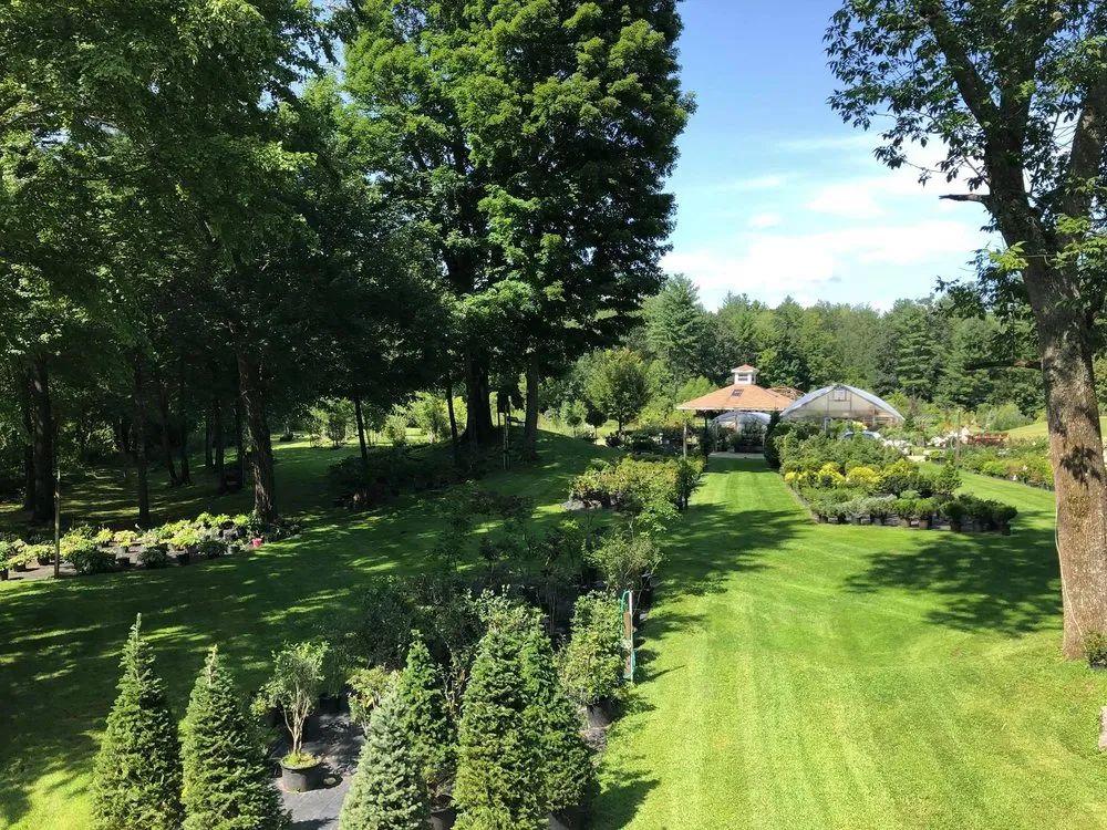 Custom landscape design for outdoor upgrades in Raymond, NH by Scenic Nursery & Landscaping