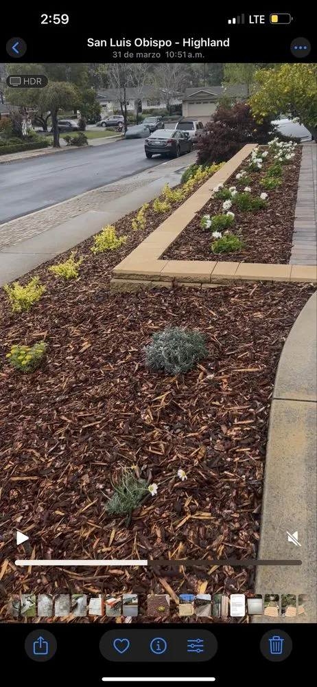 Top-rated lawn care service for residential properties across Santa Maria, CA - Scenic Route Landscaping