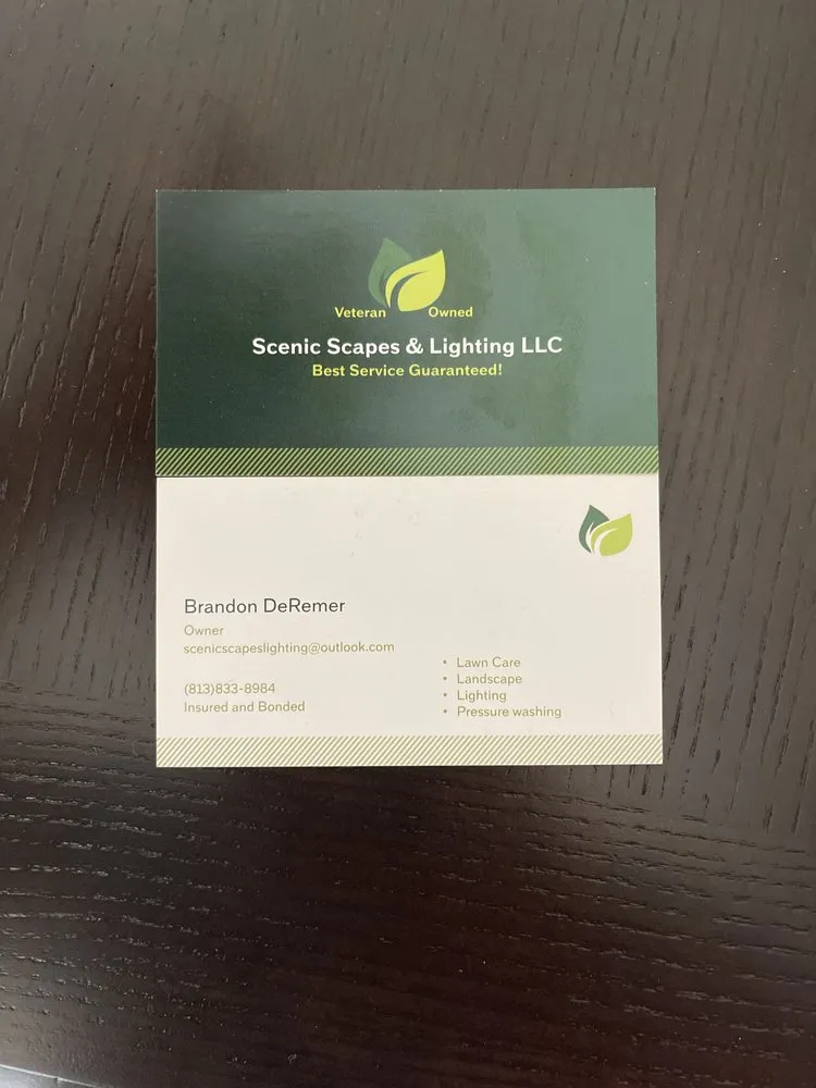 Local lawn care service for year-round maintenance in Apollo Beach, FL by Scenic Scapes & Lighting