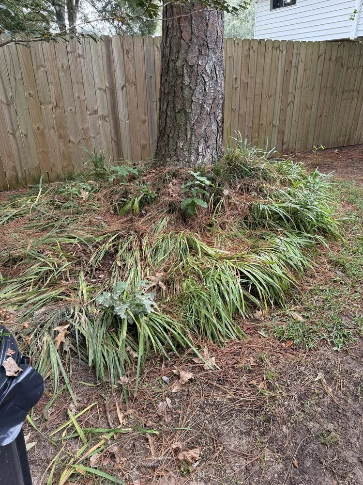 Affordable landscape design in Lafayette, LA by Scenic Solutions