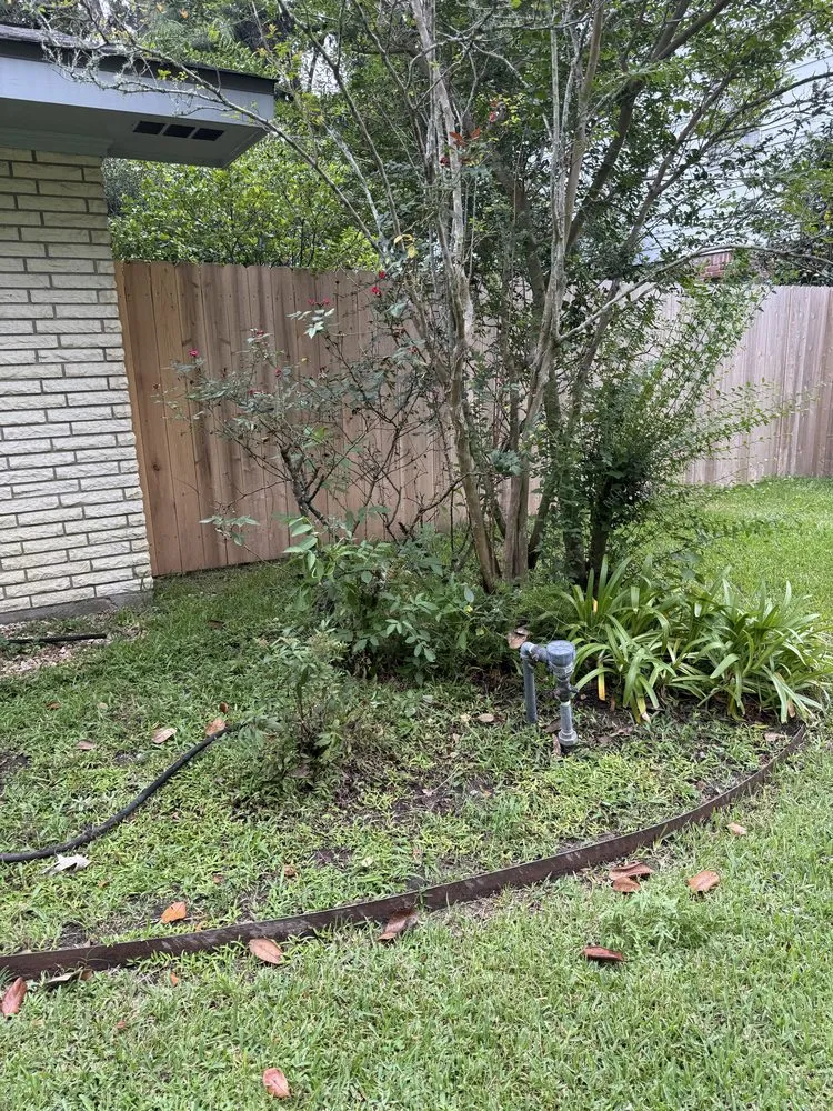 Affordable yard maintenance for year-round maintenance in Lafayette, LA by Scenic Solutions