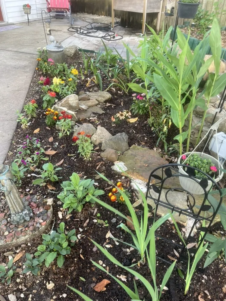 Reliable lawn care service for outdoor upgrades across Lafayette, LA - Scenic Solutions