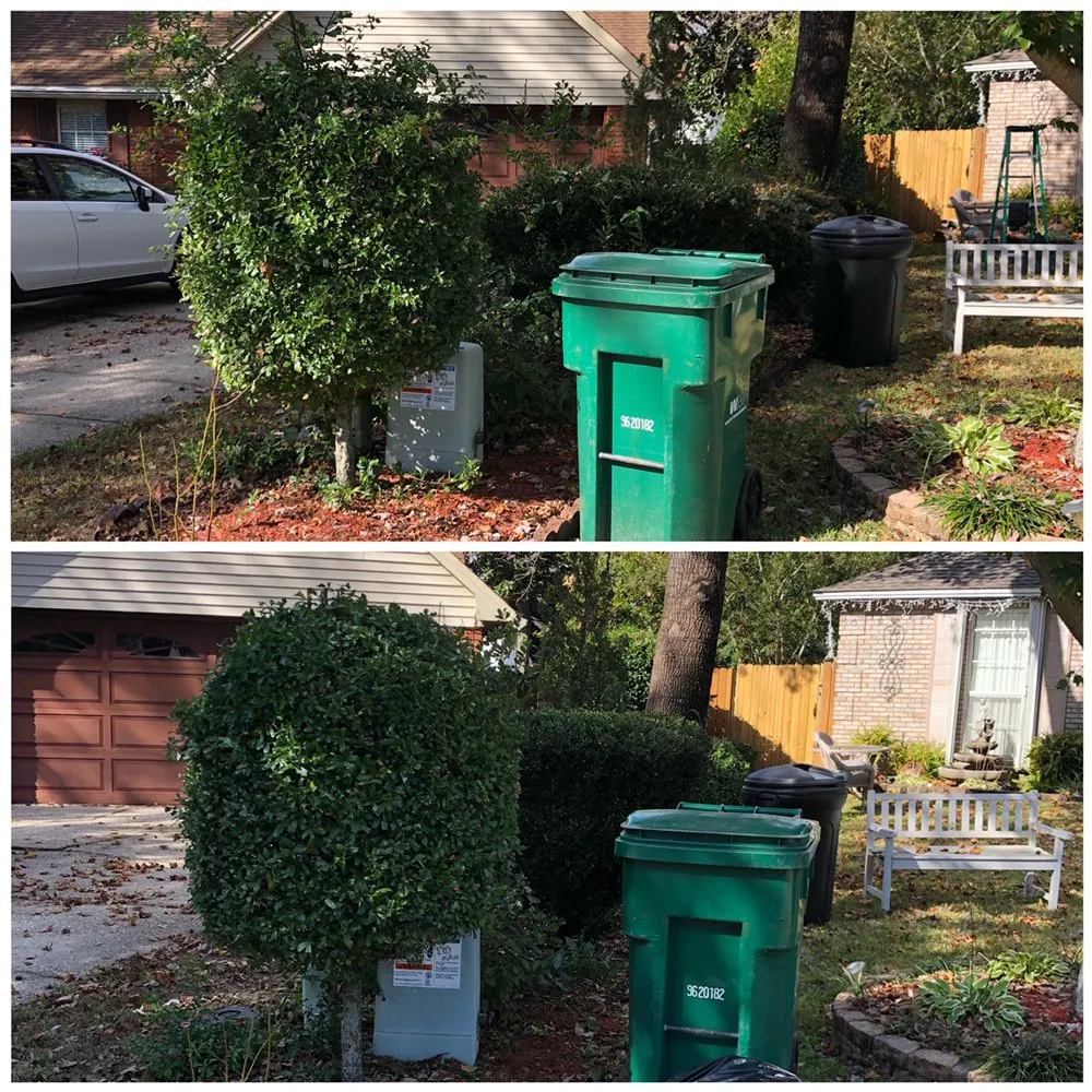 Professional garden landscaping experts serving Fort Walton Beach, FL - Scenic Solutions Landscape