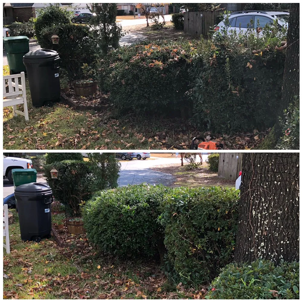 Custom landscape installation near you across Fort Walton Beach, FL - Scenic Solutions Landscape