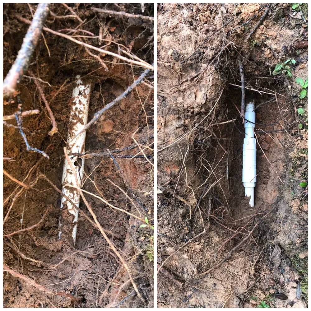 Affordable yard cleanup service in Fort Walton Beach, FL by Scenic Solutions Landscape