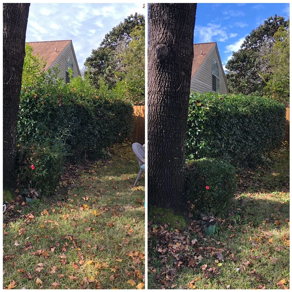 Trusted landscape installation for residential properties across Fort Walton Beach, FL - Scenic Solutions Landscape