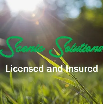 Scenic Solutions Landscape Logo