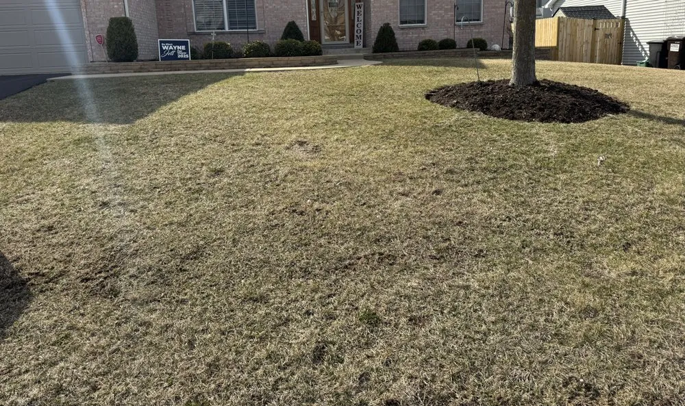 Custom lawn care service in Wonder Lake, IL - Scenic Solutions Lawncare