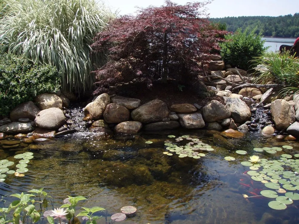 Local lawn care service for outdoor upgrades across Conover, NC - Scenic View Landscapes