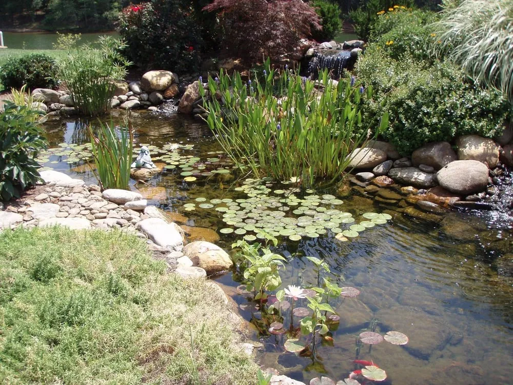 Local yard cleanup service in Conover, NC by Scenic View Landscapes