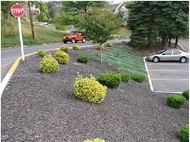 Professional yard maintenance in Emmaus, PA by Scenic View Landscaping