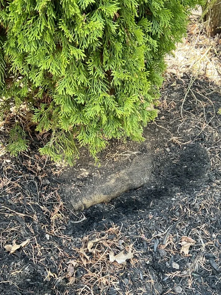 Expert residential landscaping experts serving Keyport, NJ - Scenic View Landscaping