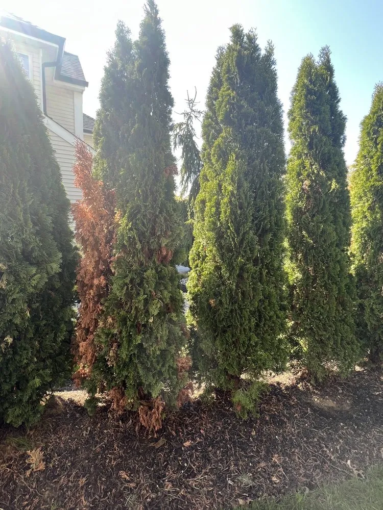 Expert landscaping services with custom design in Keyport, NJ by Scenic View Landscaping