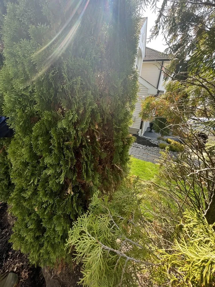 Local lawn mowing service in Keyport, NJ by Scenic View Landscaping