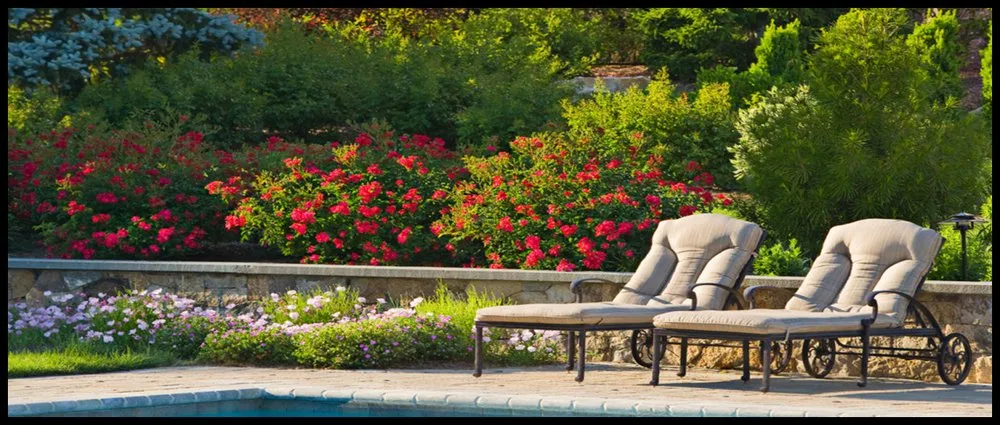 Local lawn care service with custom design in Keyport, NJ by Scenic View Landscaping