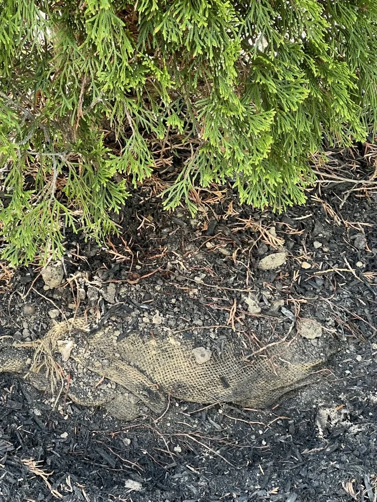 Expert outdoor landscaping experts serving Keyport, NJ - Scenic View Landscaping