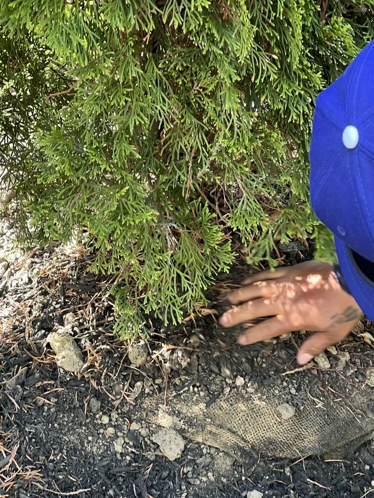 Custom landscape design for beautiful yards in Keyport, NJ by Scenic View Landscaping