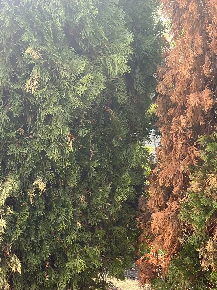 Reliable outdoor landscaping in Keyport, NJ by Scenic View Landscaping