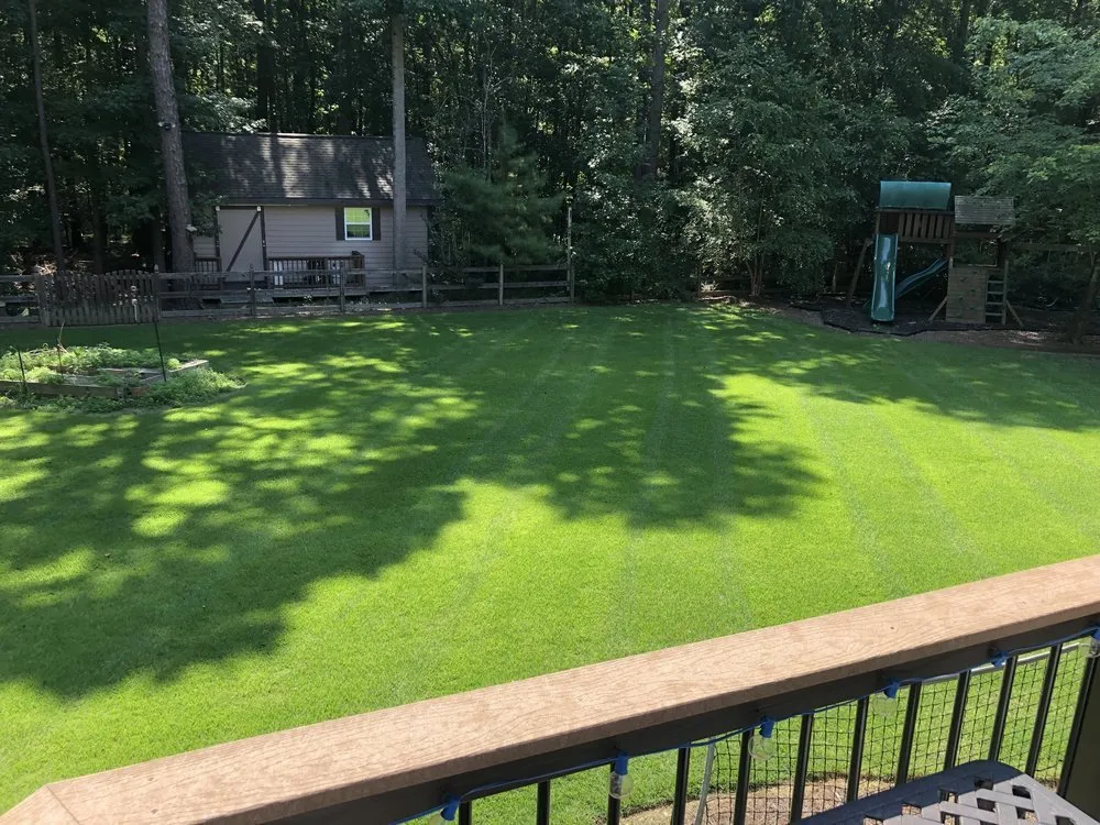 Trusted landscape installation for year-round maintenance in Matthews, NC by Scenic View Lawn Care