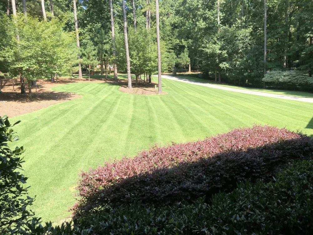 Custom lawn care service experts serving Matthews, NC - Scenic View Lawn Care