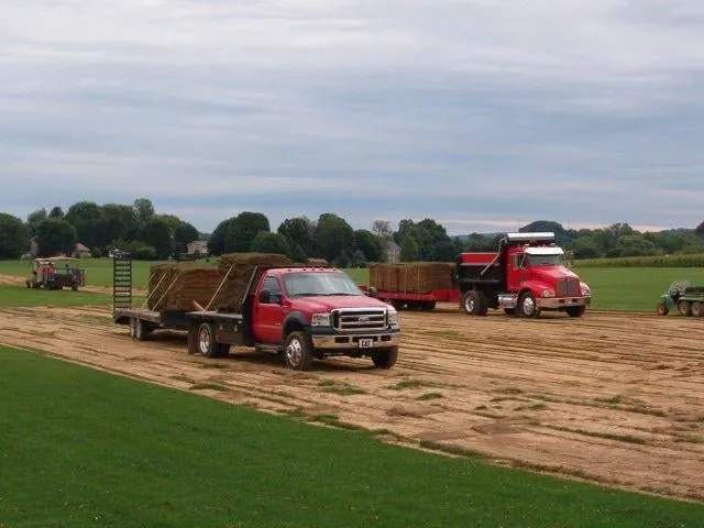 Custom yard cleanup service experts serving Bethlehem, PA - Scenic Walkways