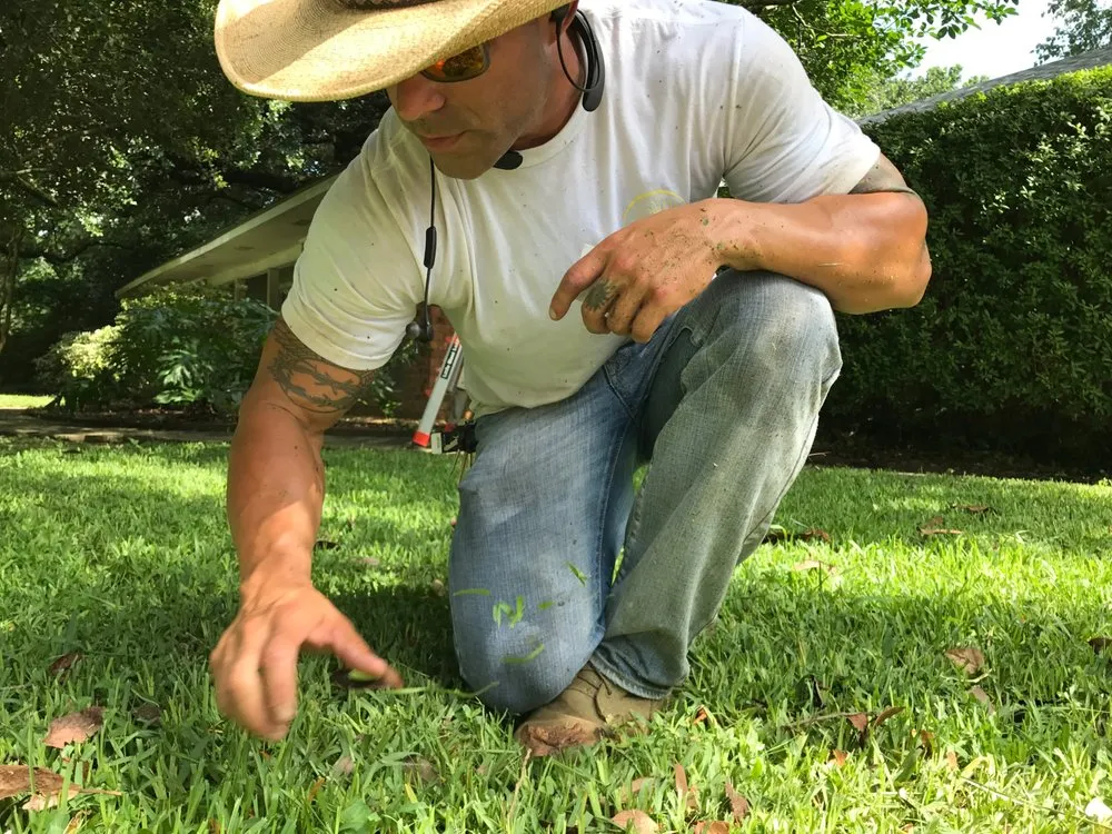 Expert landscaping services for outdoor upgrades in Denham Springs, LA by SCF Services