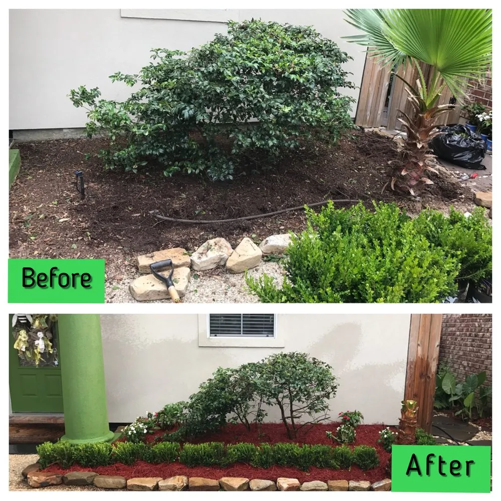 Trusted yard cleanup service for beautiful yards across Denham Springs, LA - SCF Services