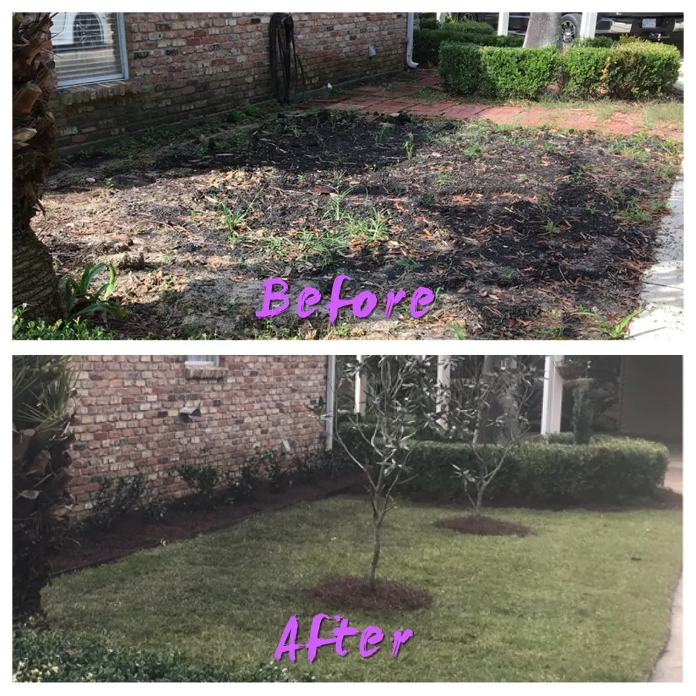 Custom yard maintenance for year-round maintenance in Denham Springs, LA by SCF Services